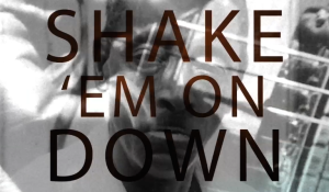 Shake ‘Em On Down: The Blues According to Fred McDowell